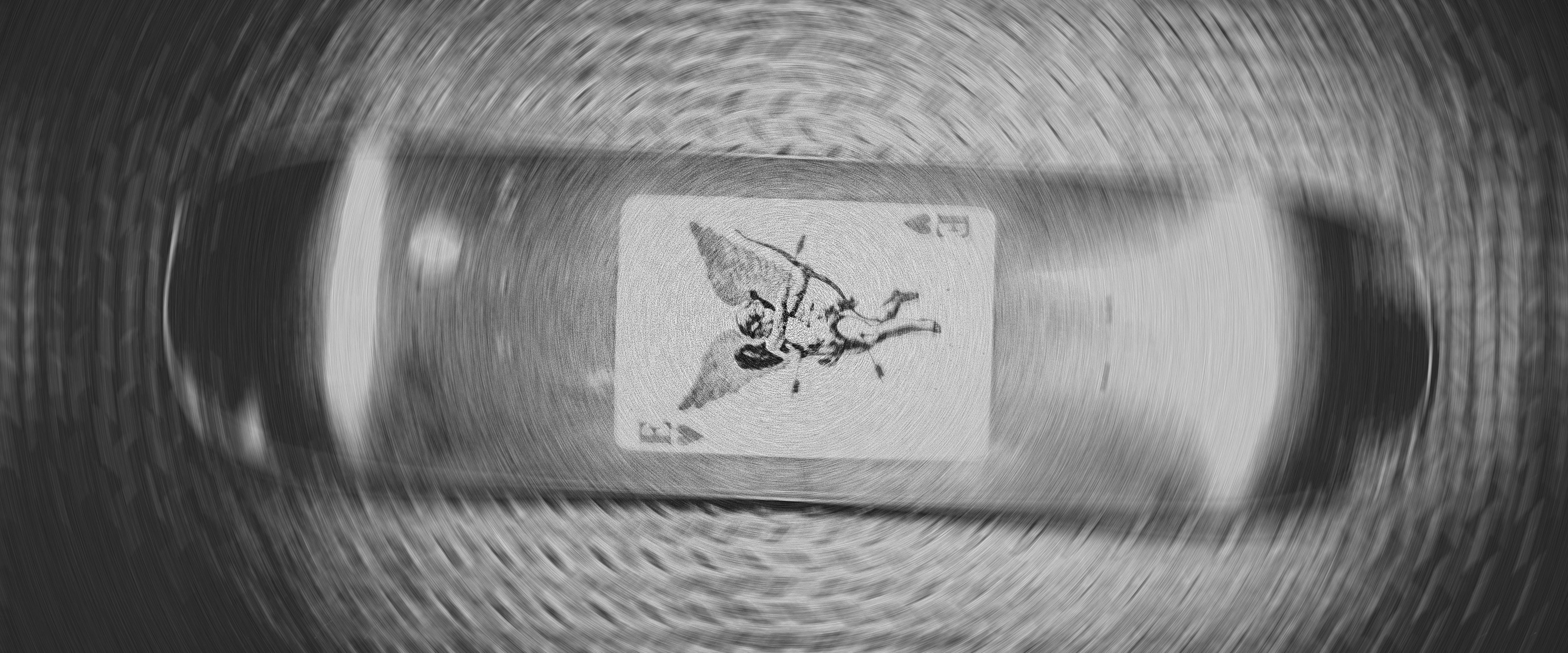 DEATHWISH SKATEBOARDS