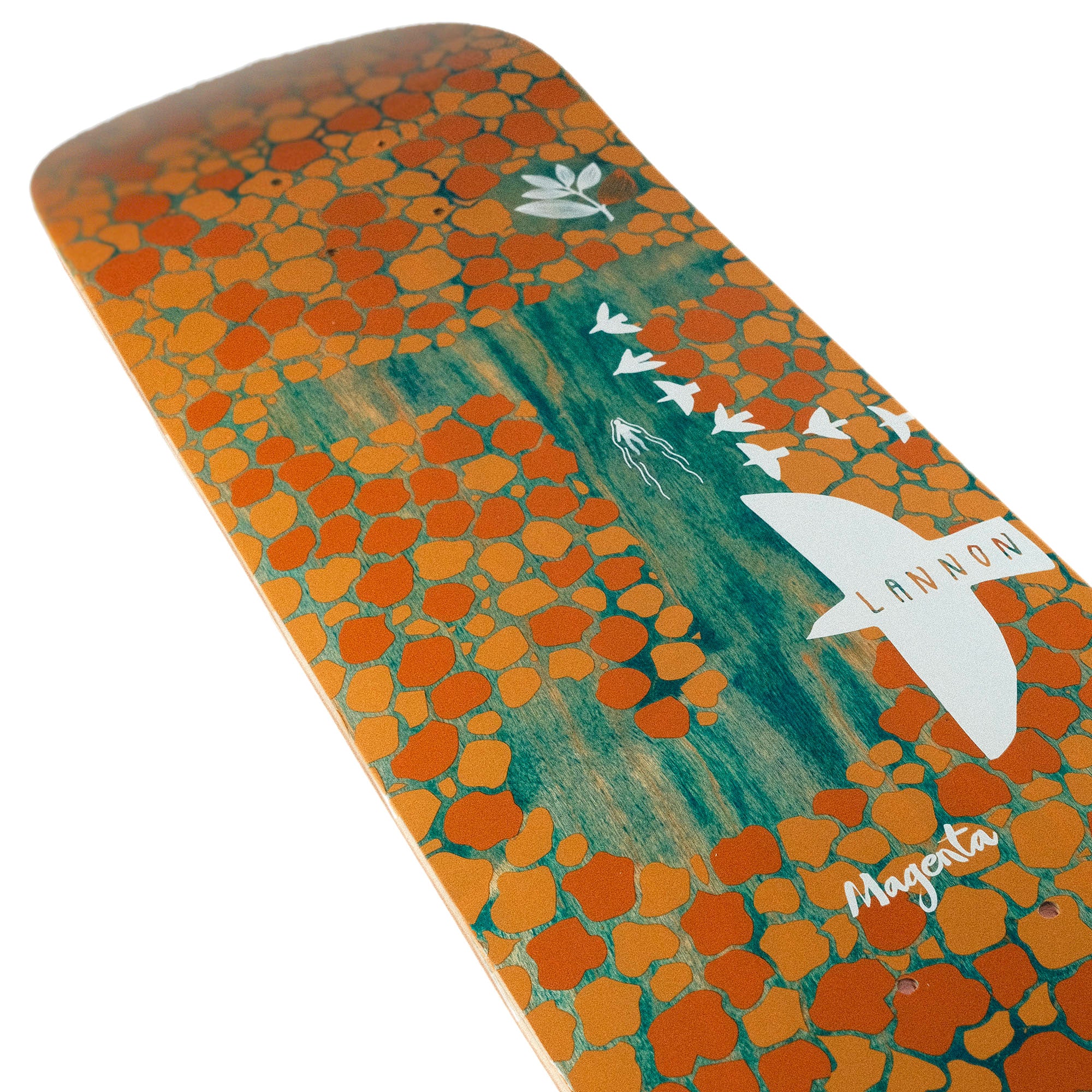 JIMMY LANNON'S "SPRINGWATER" DECK (8.125")-4