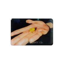 Load image into Gallery viewer, POLAR SKATE CO. - &quot;FROG&quot; MAGNET
