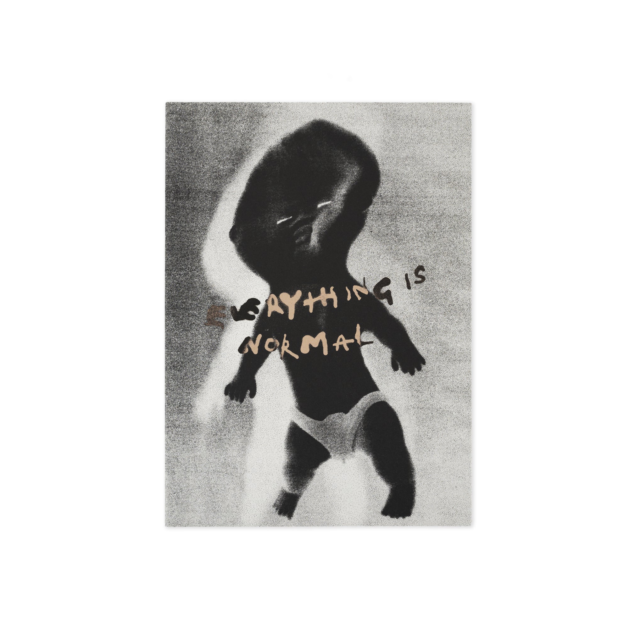 "EVERYTHING IS NORMAL" BOOK