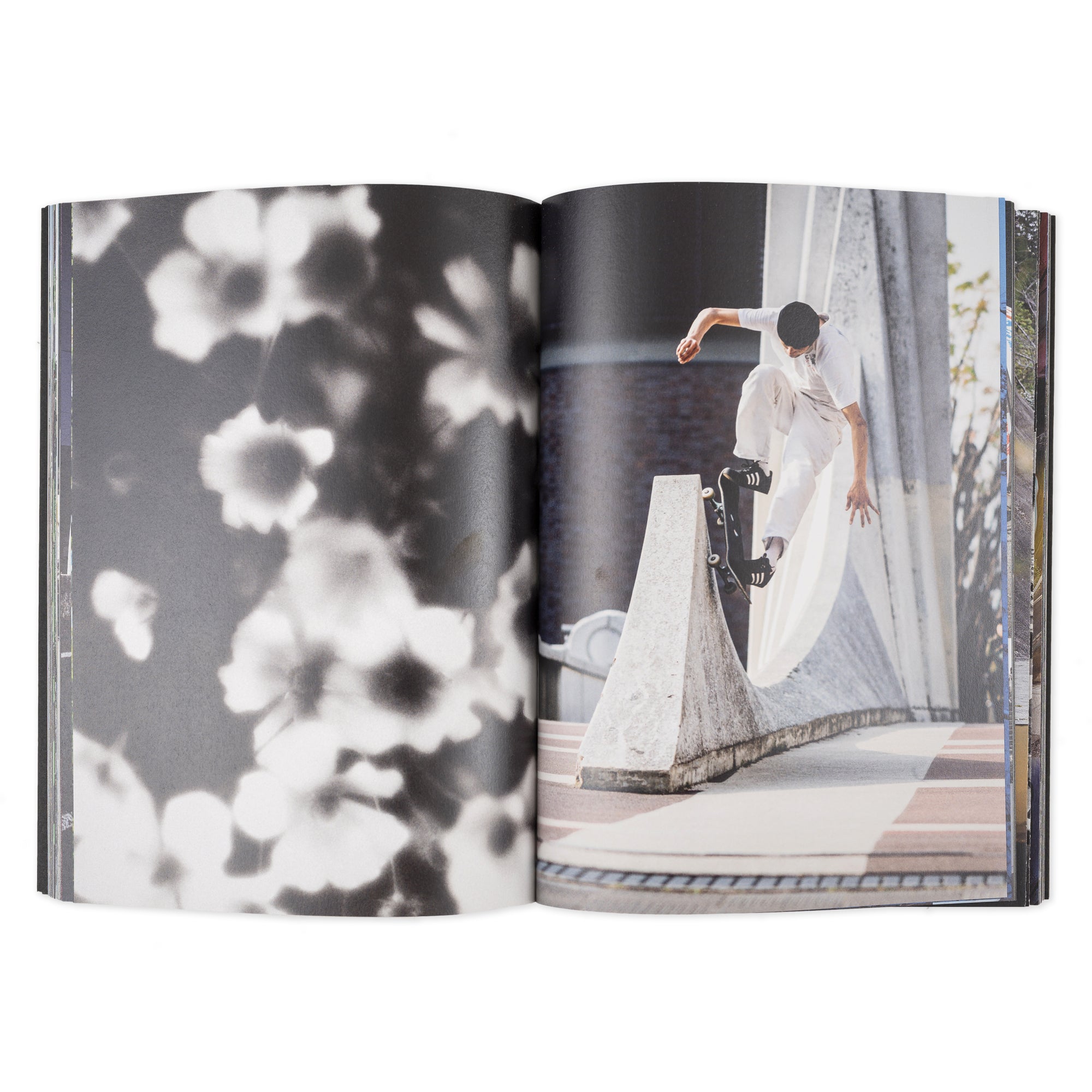 "EVERYTHING IS NORMAL" BOOK-3