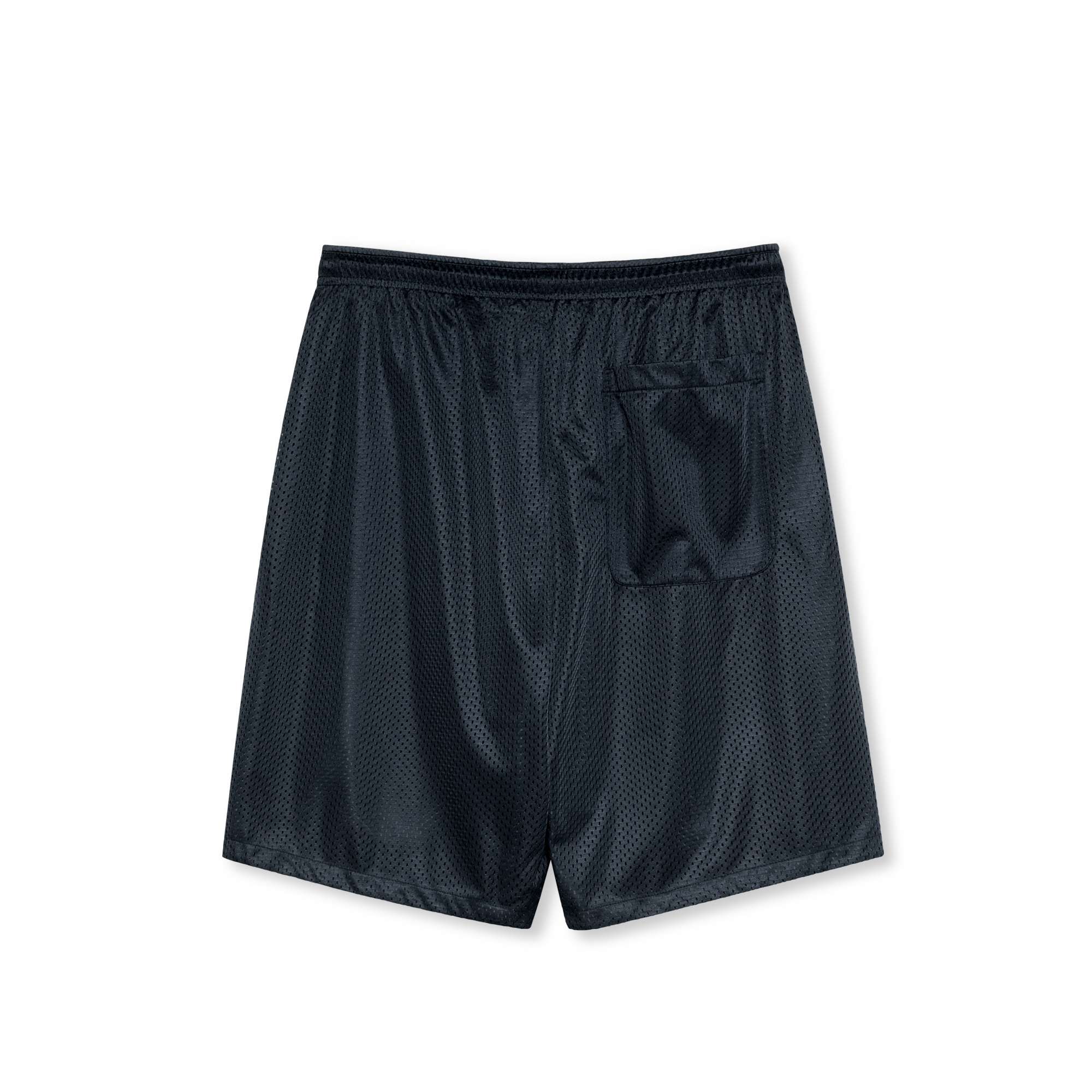POLAR SKATE CO. - "RAY" SHORTS (NAVY