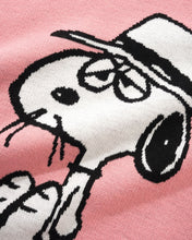Afbeelding in Gallery-weergave laden, BUTTER GOODS X PEANUTS - &quot;SPIKE&quot; KNIT (PINK)
